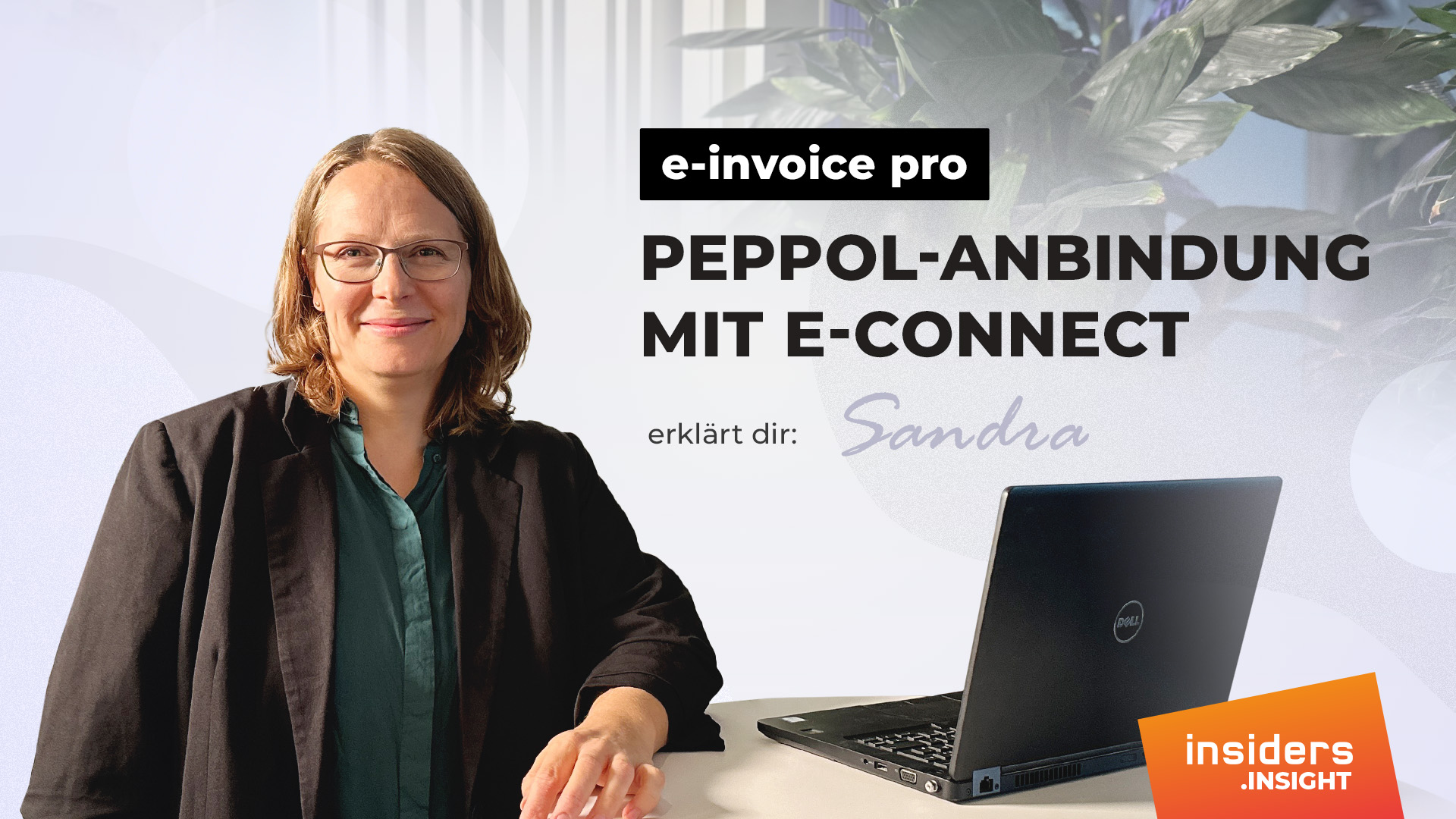20240821_Insight_e-invoice_pro_Anbindung_e-connect